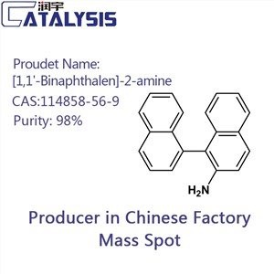 [1,1'-Binaphthalen]-2-amine CAS:114858-56-9